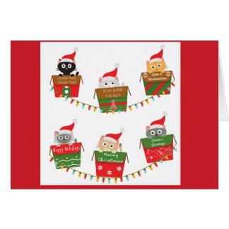 Kittens in kerst dozen Boomlichten 