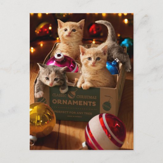 Kittens in kerstbaldoos uitnodiging briefkaart (Voorkant)