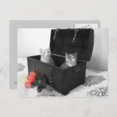 kittens in kofferbak met bloemen briefkaart (Voorkant / Achterkant)