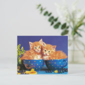 kittens in kopje briefkaart (Staand voorkant)