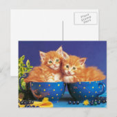 kittens in kopje briefkaart (Voorkant / Achterkant)