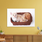 Kittens in mandje canvas afdruk (Insitu (Woonkamer))