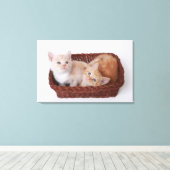 Kittens in mandje canvas afdruk (Insitu (Houten vloer))