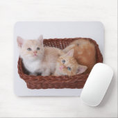Kittens in mandje muismat (Met muis)