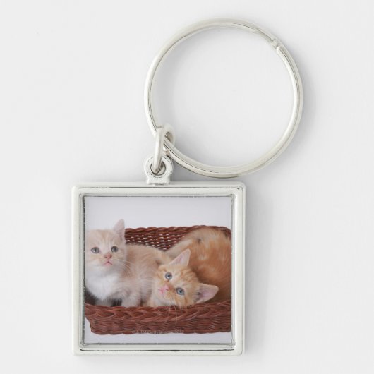 Kittens in mandje sleutelhanger (Voorkant)
