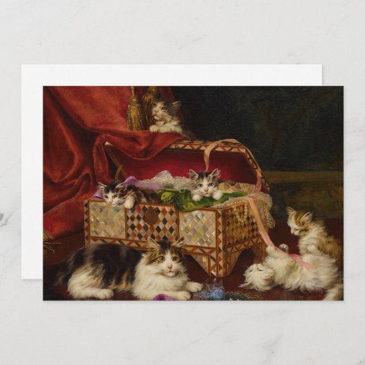 Kittens in naaimand | Jules Leroy (Voorkant / Achterkant)