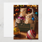 Kittens in Ornament Box Kaart (Voorkant / Achterkant)