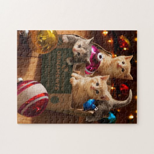 Kittens in Ornament Box Legpuzzel (Horizontaal)