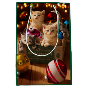Kittens in Ornament Box Medium Cadeauzakje