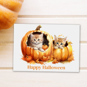 Kittens in Pumpkins Halloween Briefkaart