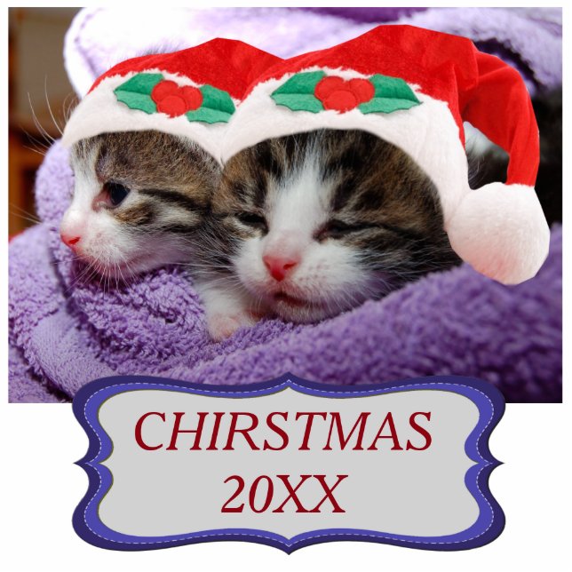 Kittens in Santa Hats 20XX Ornament Fotobeeldje Ornament (Voorkant)