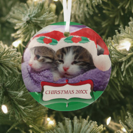 Kittens in Santa Hats Kerstmis 20XX Glas Ornament