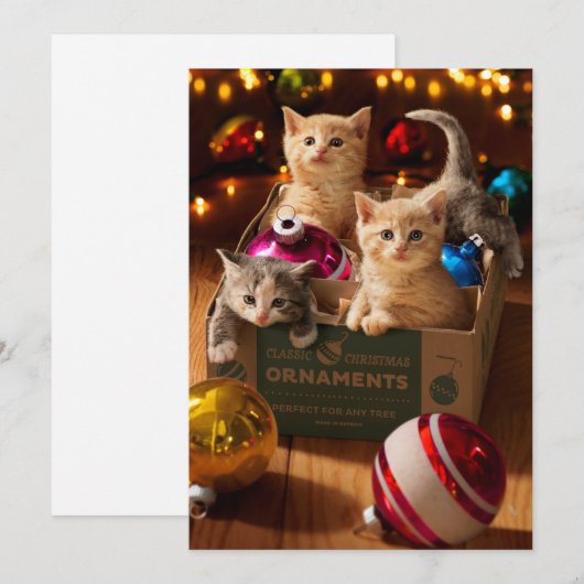 Kittens in Sieraad Doos Kaart (Voorkant / Achterkant)