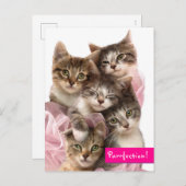 Kittens in Tutus Uitnodiging Briefkaart (Voorkant / Achterkant)