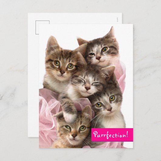 Kittens in Tutus Uitnodiging Briefkaart (Voorkant / Achterkant)