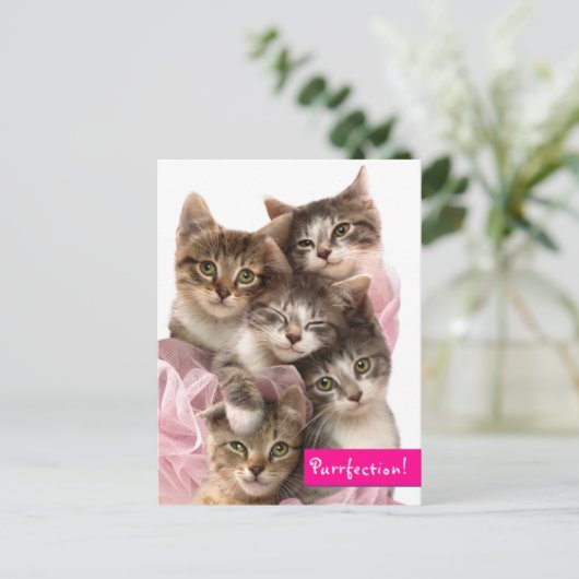 Kittens in Tutus Uitnodiging Briefkaart (Staand voorkant)