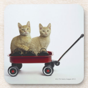 Kittens in wagen drankjes onderzetter