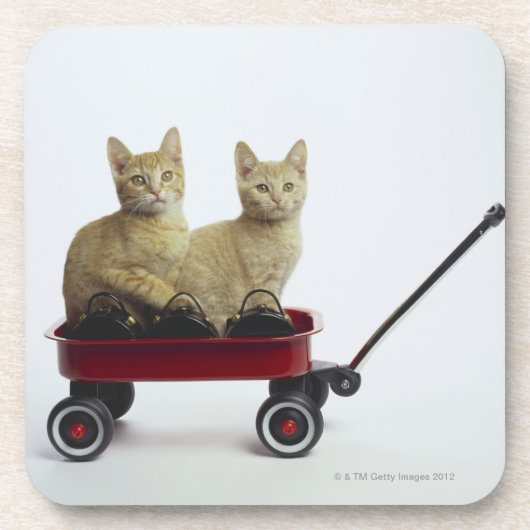 Kittens in wagen drankjes onderzetter (Voorkant)