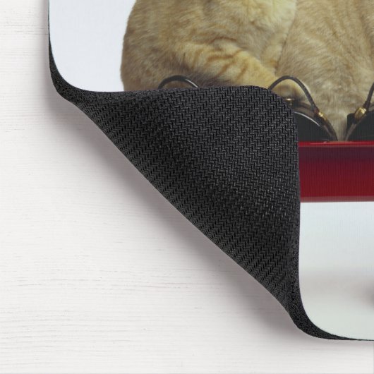 Kittens in wagen muismat (Hoek)