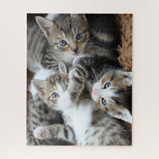 Kittens Jigzaag Puzzle Legpuzzel (Verticaal)
