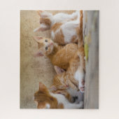 Kittens Jigzaag Puzzle Legpuzzel (Verticaal)
