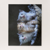 Kittens Jigzaag Puzzle Legpuzzel (Verticaal)