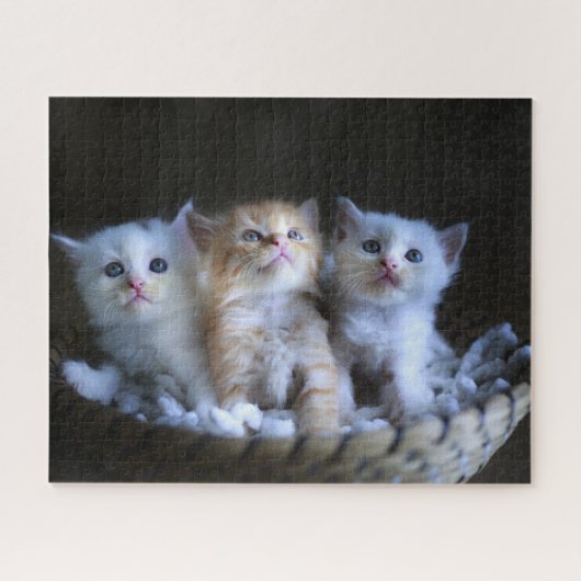 Kittens Jigzaag Puzzle Legpuzzel (Horizontaal)