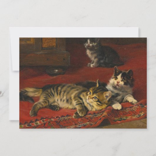 Kittens | Julius Adam de Jongere (Voorkant)