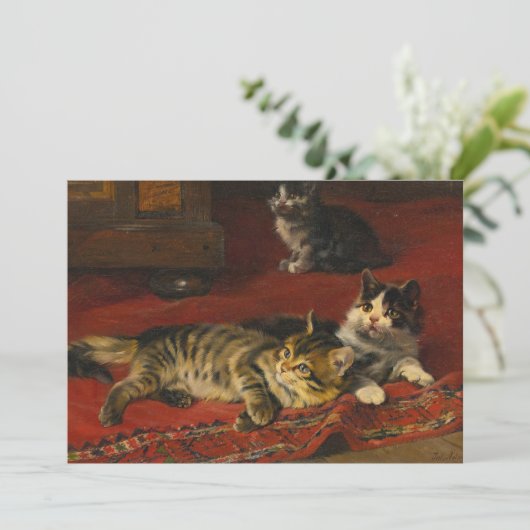 Kittens | Julius Adam de Jongere (Staand voorkant)