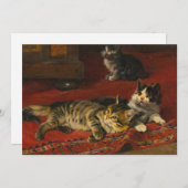 Kittens | Julius Adam de Jongere (Voorkant / Achterkant)