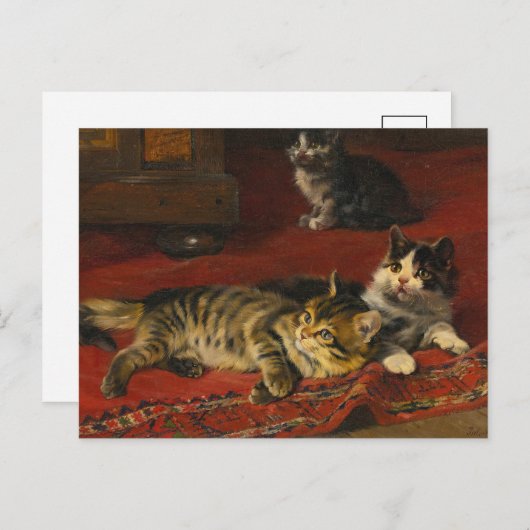 Kittens | Julius Adam de Jongere Briefkaart (Voorkant / Achterkant)
