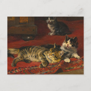 Kittens   Julius Adam de Jongere Briefkaart