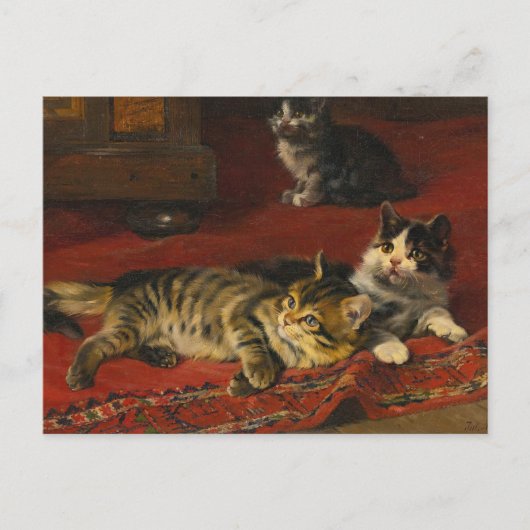 Kittens | Julius Adam de Jongere Briefkaart (Voorkant)