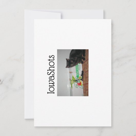 Kittens Kaart (Achterkant)