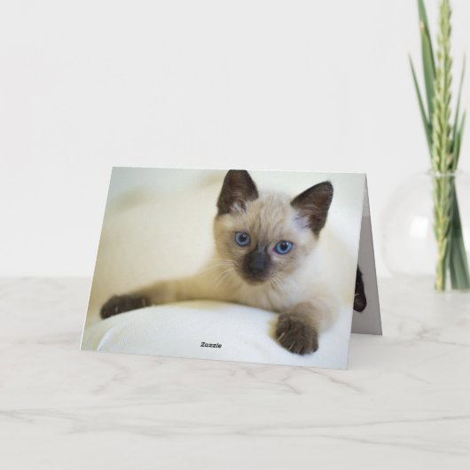 Kittens Kaart (Achterkant)