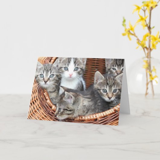 Kittens Kaart (Gele Bloem)
