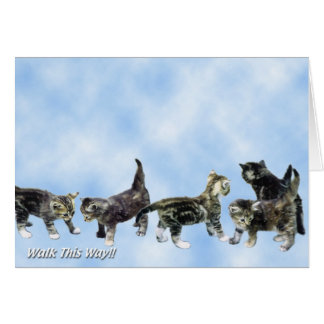 Kittens-kaart - Cute