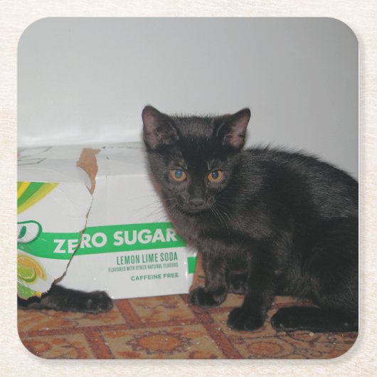 Kittens Kartonnen Onderzetters (Voorkant)