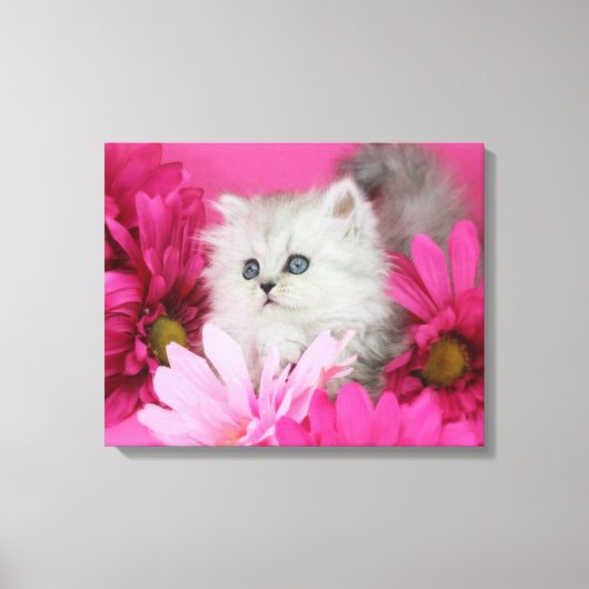 Kittens, katten, roze, polka stippen canvas afdruk (Voorkant)