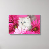 Kittens, katten, roze, polka stippen canvas afdruk (Voorkant)