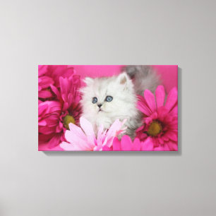 Kittens, katten, roze, polka stippen canvas afdruk