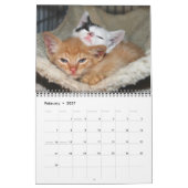 Kittens, kittens. kalender (Feb 2027)