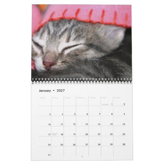 Kittens, kittens. kalender (Jan 2027)