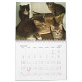 KITTENS, KITTENS, KITTENS! KALENDER (Jan 2027)