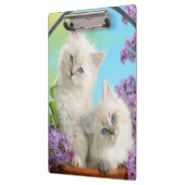 Kittens/klembord Klembord (Links)