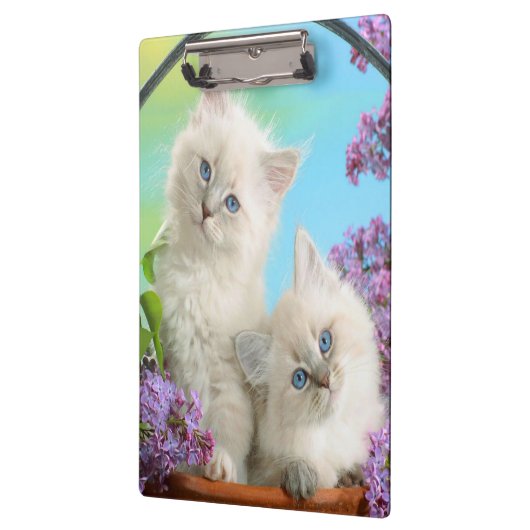 Kittens/klembord Klembord (Links)