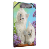 Kittens/klembord Klembord (Rechts)