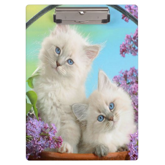 Kittens/klembord Klembord (Voorkant)