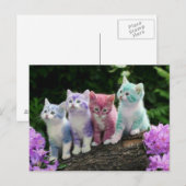 kittens kleur briefkaart (Voorkant / Achterkant)