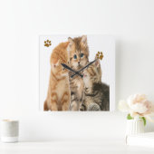 kittens klok (Huis)